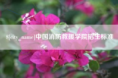 阿里中国消防救援学院招生标准