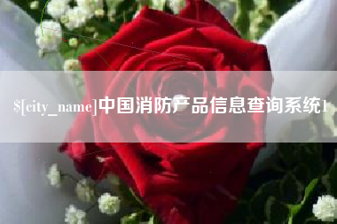 阿里中国消防产品信息查询系统1