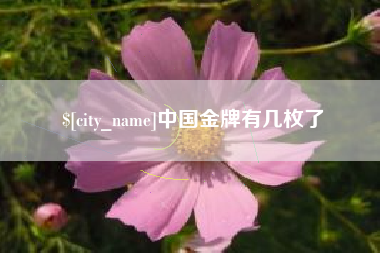 阿里中国金牌有几枚了