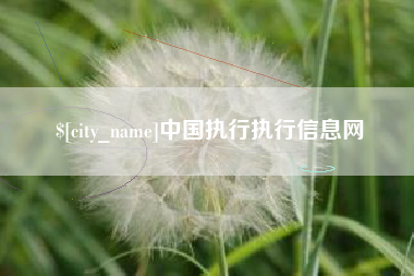 阿里中国执行执行信息网