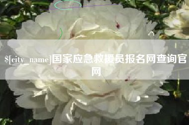 阿里国家应急救援员报名网查询官网