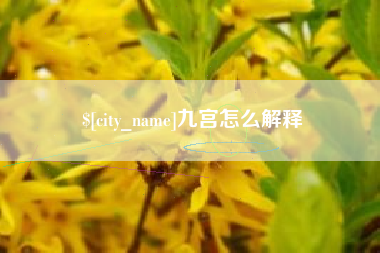 阿里九宫怎么解释