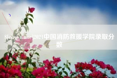 阿里2021中国消防救援学院录取分数