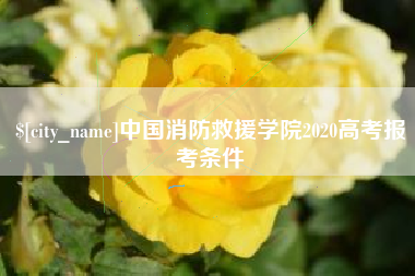 阿里中国消防救援学院2020高考报考条件