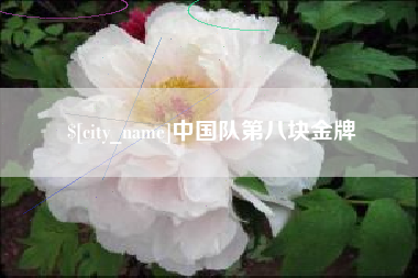 阿里中国队第八块金牌