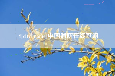 阿里中国消防在线查询