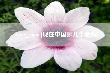 阿里现在中国哪几个金牌