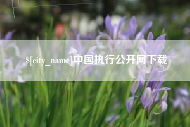 阿里中国执行公开网下载