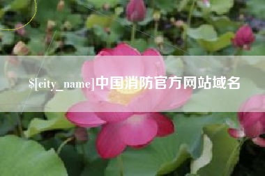 阿里中国消防官方网站域名
