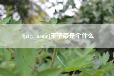 阿里王子豪是个什么