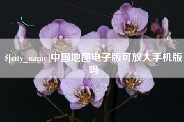 阿里中国地图电子版可放大手机版吗