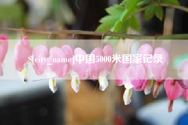 阿里中国5000米国家记录