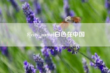 阿里白色在中国