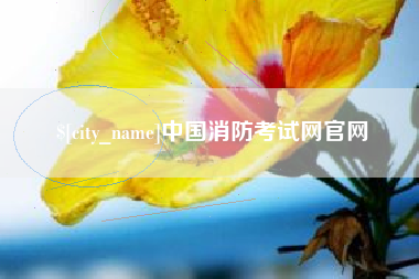 阿里中国消防考试网官网