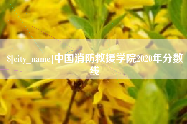 阿里中国消防救援学院2020年分数线