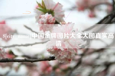 阿里中国金牌图片大全大图真实高清