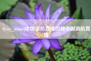 阿里中国消防直播回放中国消防直播