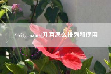 阿里九宫怎么排列和使用