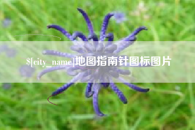 阿里地图指南针图标图片
