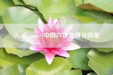 阿里中国六块金牌分别是