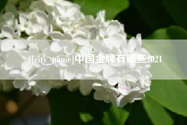 阿里中国金牌有哪些2021