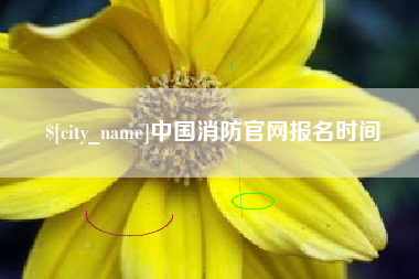 阿里中国消防官网报名时间