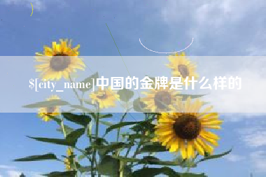 阿里中国的金牌是什么样的