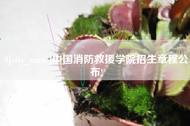 阿里中国消防救援学院招生章程公布!