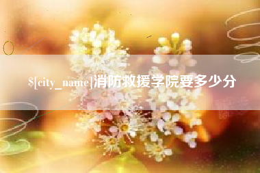 阿里消防救援学院要多少分