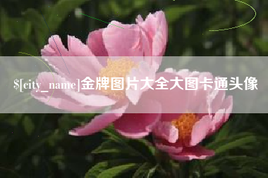 阿里金牌图片大全大图卡通头像