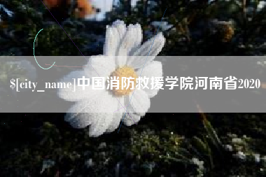 阿里中国消防救援学院河南省2020